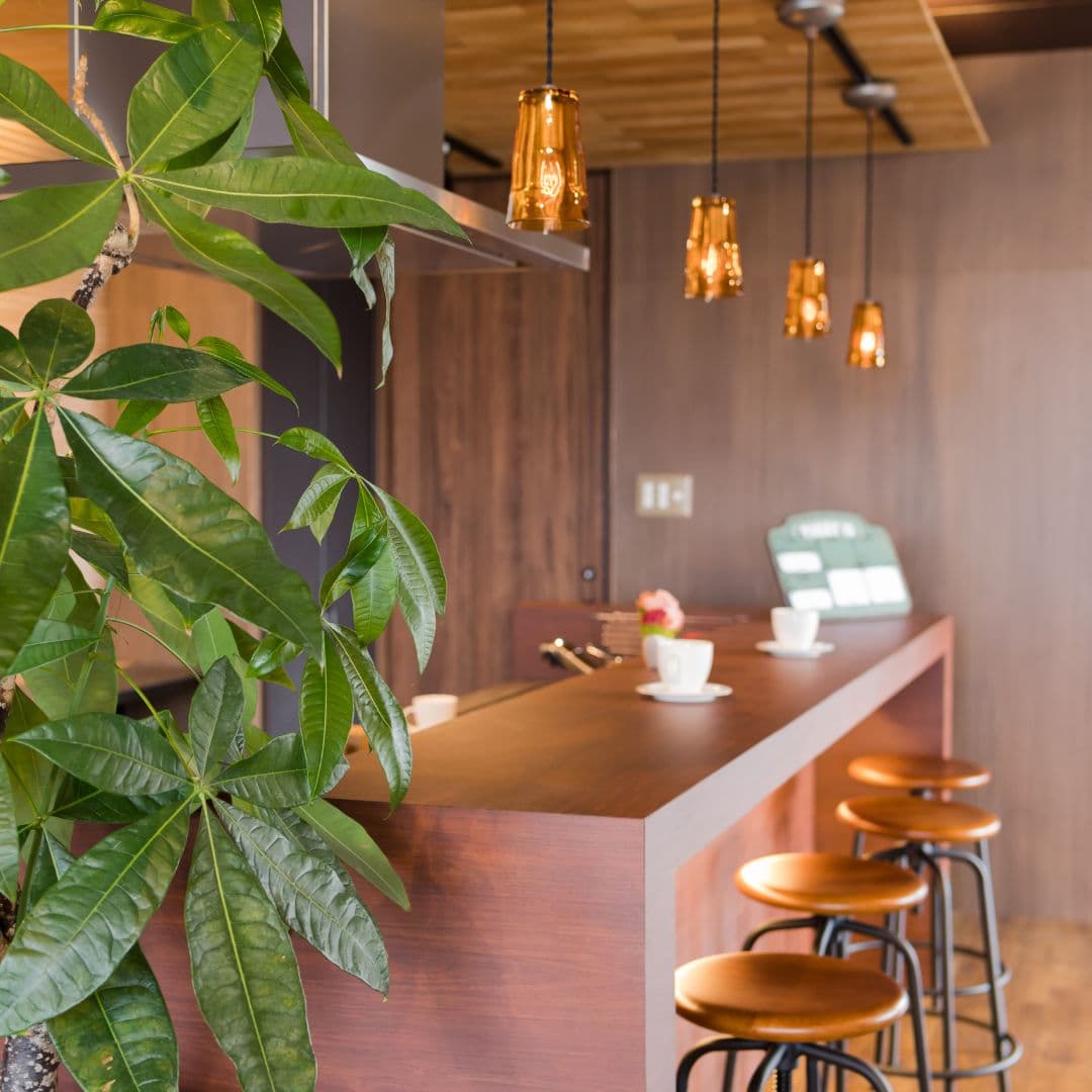 Premium Café | High Exposure Location | Profitable with 100+ Seats